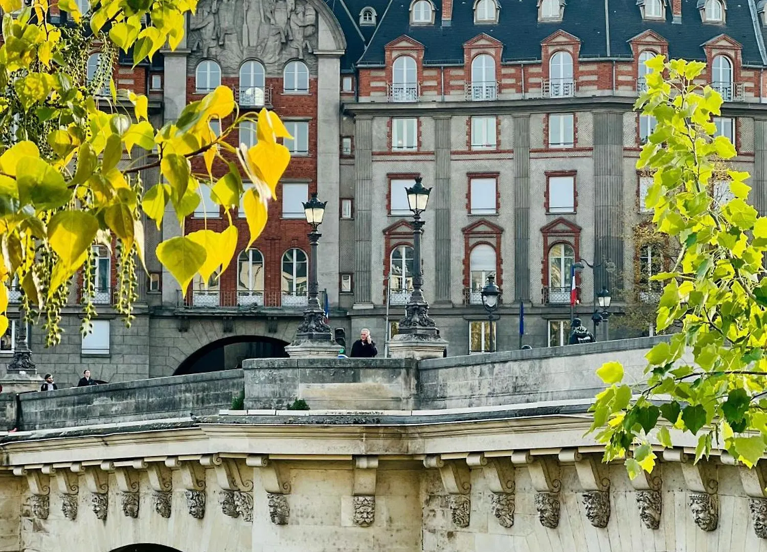 Apartment Luxurious Flat In Saint-germain-des-pres Paris